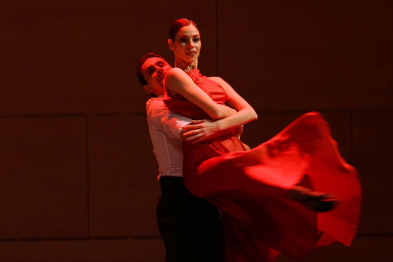Pasion Tango - The Dance