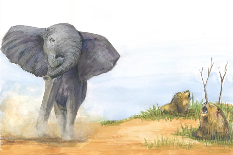 Bobo, der kleine Elefant - Illustration